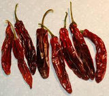 SERRANO PEPPER, DRIED N WHOLE, ORGANIC, DELICIOUS SPICY DRIED HERB - Country Creek LLC