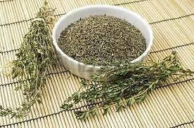 Thyme Herb Seed, Non-GMO, One of The Most Useful Herbs for The Kitchen - Country Creek LLC